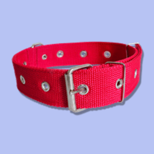 coleira nylon dupla