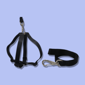 conj guia/peitoral acetinado americano