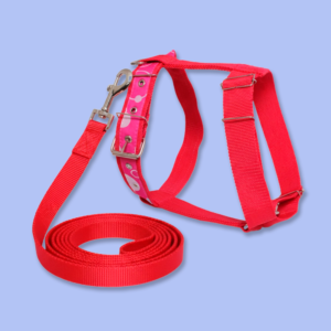 conj peitoral ajust fita 40 guia dupla 40mmx60cm