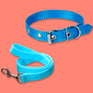 conj guia/coleira acetinada